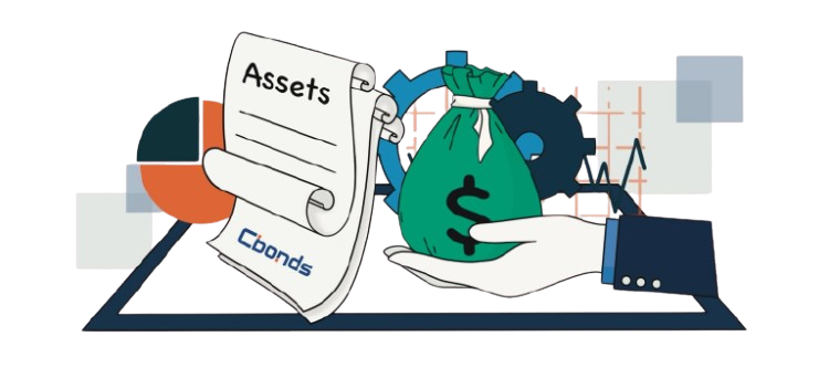 Asset Visual